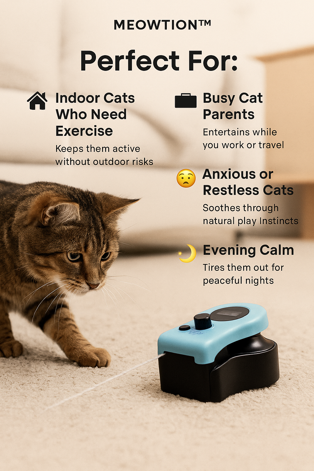 MEOWTION Interactive Toy