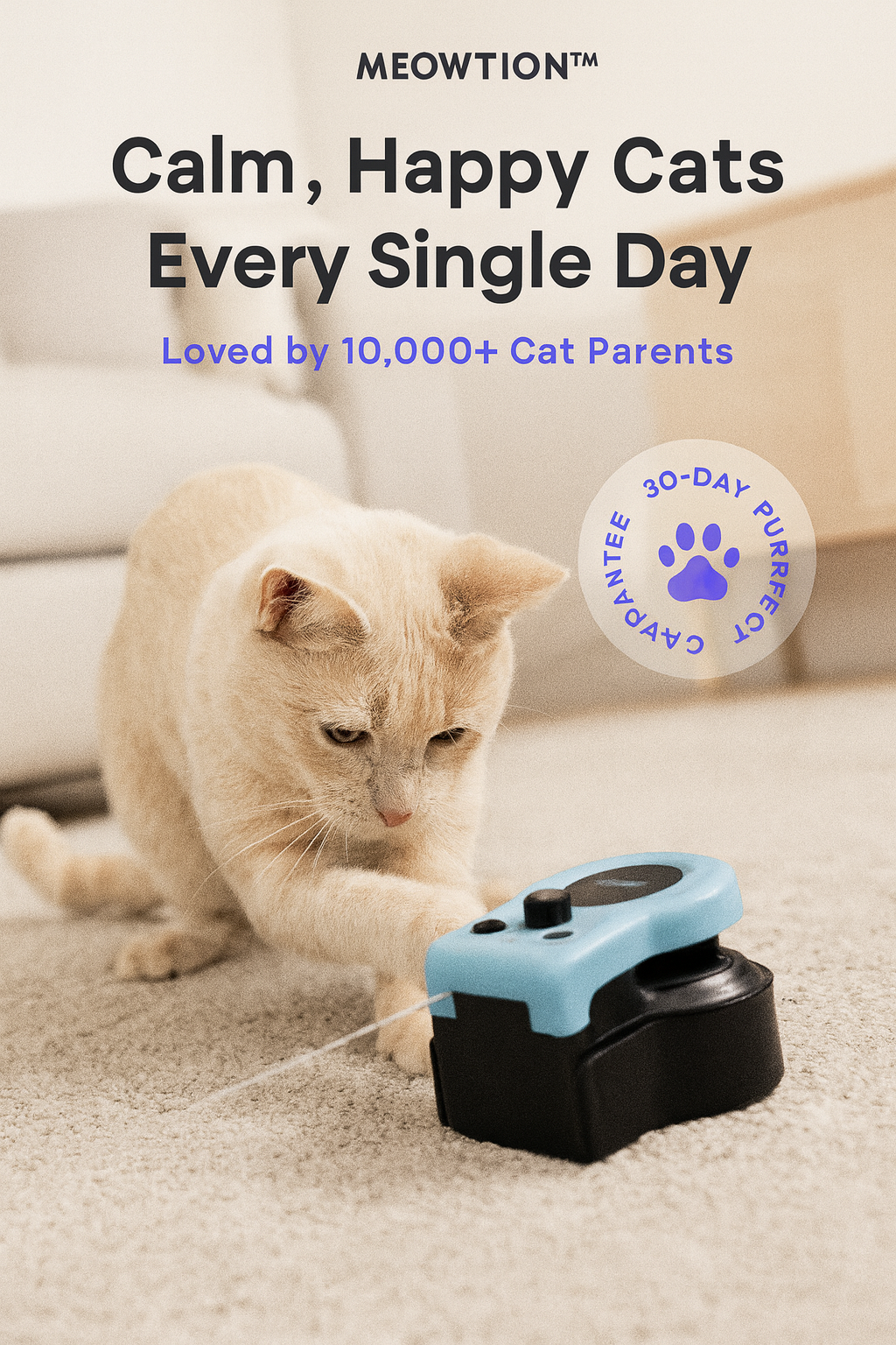 MEOWTION Interactive Toy