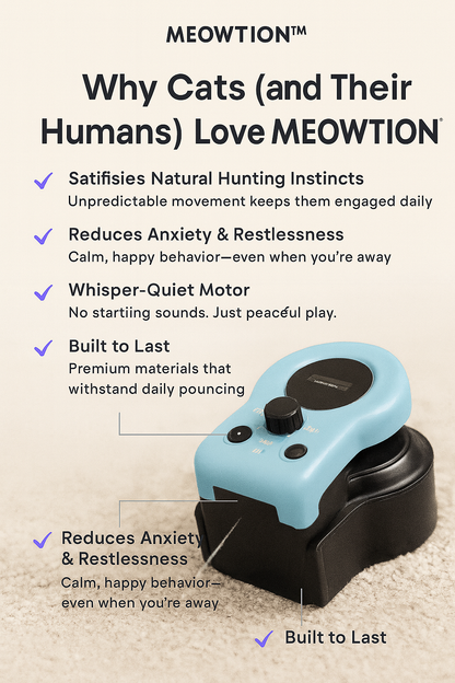 MEOWTION Interactive Toy