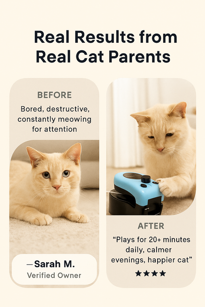 MEOWTION Interactive Toy